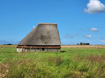 Holiday apartment Brakestein Appartement C - Environment photo 31