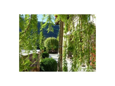 Apartment Appartement Fichte - Outdoor photo 16