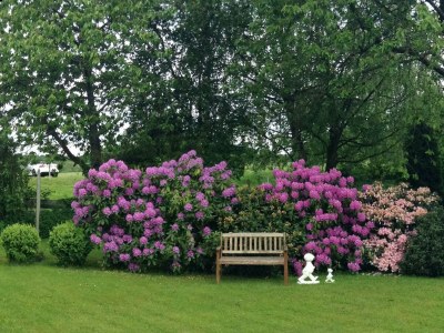 Apartment 2 Bett Appartement/Fewo, Dusche, WC, 1 Schlafraum - Outdoor photo 5