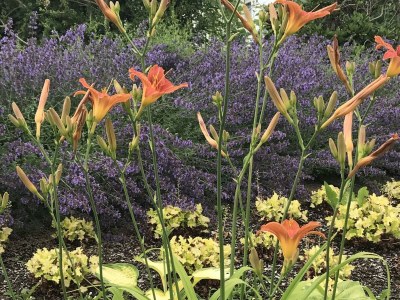 Apartment 2 Bett Appartement/Fewo, Dusche, WC, 1 Schlafraum - Outdoor photo 6