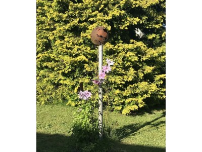 Apartment 2 Bett Appartement/Fewo, Dusche, WC, 1 Schlafraum - Outdoor photo 9