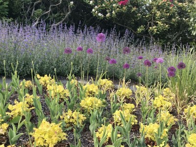 Apartment 2 Bett Appartement/Fewo, Dusche, WC, 1 Schlafraum - Outdoor photo 10