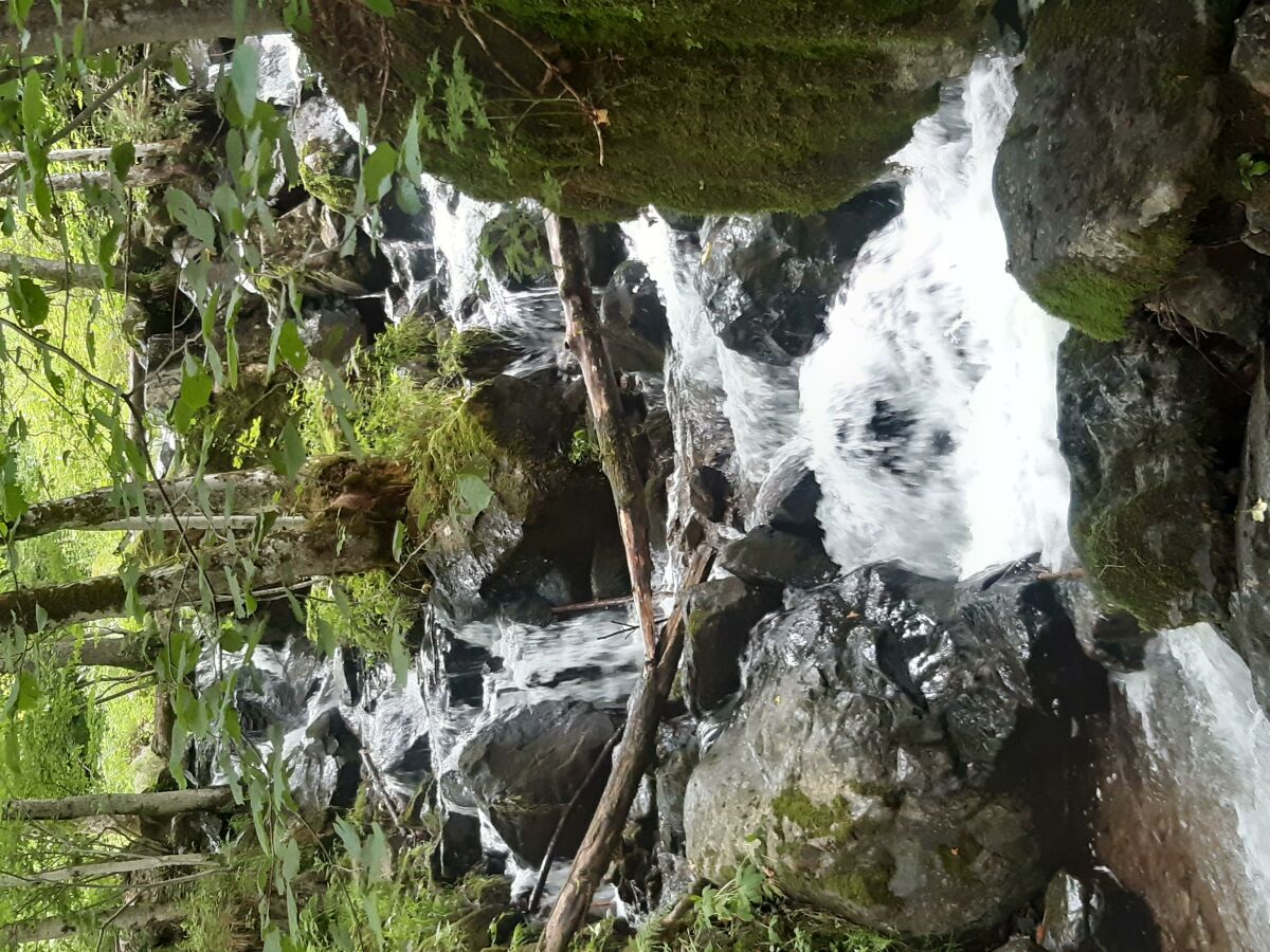 Apartment 4-Bett-Wohnung "Lavendel" - Features photo 3