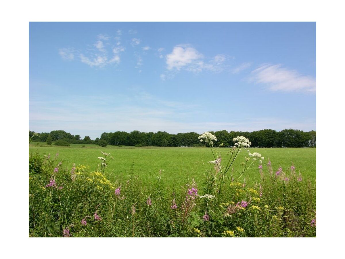 Apartment 4--Bettwohnung - Outdoor photo 4