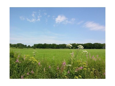 Apartment 4--Bettwohnung - Outdoor photo 4