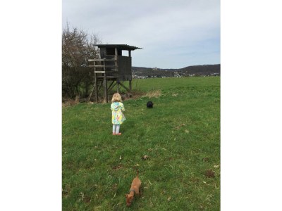 Apartment Appartement/Fewo, Dusche, WC, 1 Schlafraum - Outdoor photo 15