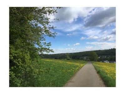 Apartment Appartement/Fewo, Dusche, WC, 1 Schlafraum - Outdoor photo 16