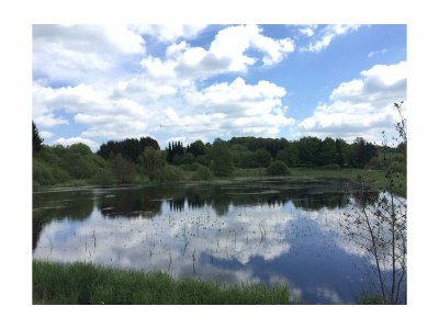Apartment Appartement/Fewo, Dusche, WC, 1 Schlafraum - Outdoor photo 17