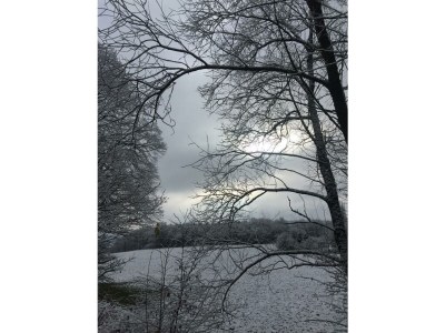 Apartment Appartement/Fewo, Dusche, WC, 1 Schlafraum - Outdoor photo 20