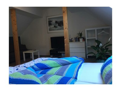 Apartment Appartement/Fewo, Dusche, WC, 1 Schlafraum - Features photo 39