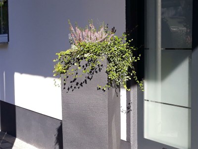 Apartment 4-BettAppartement/Fewo, Dusche, WC, 1 Schlafraum - Outdoor photo 28