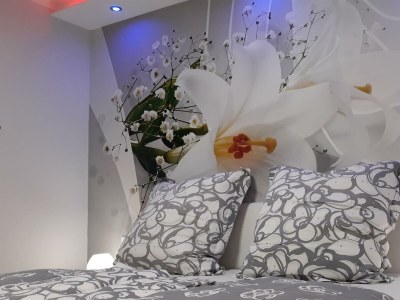 Apartment 4-BettAppartement/Fewo, Dusche, WC, 1 Schlafraum - Features photo 53