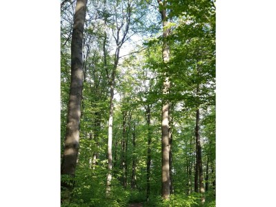 Apartment 4-Bett Fehaus, Schlafsofa,  2 Bäder, 2 Schlafräume - Outdoor photo 7