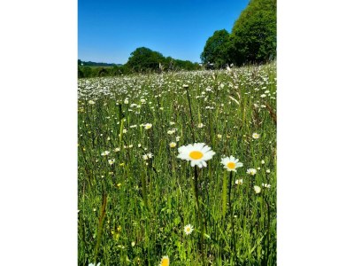 Apartment 4-Bett Fehaus, Schlafsofa,  2 Bäder, 2 Schlafräume - Outdoor photo 8