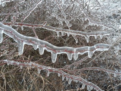 Apartment 4-Bett Fehaus, Schlafsofa,  2 Bäder, 2 Schlafräume - Outdoor photo 10