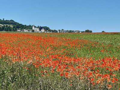 Apartment 4-Bett Fehaus, Schlafsofa,  2 Bäder, 2 Schlafräume - Outdoor photo 13