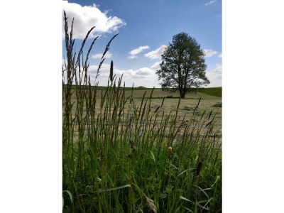 Apartment 4-Bett Fehaus, Schlafsofa,  2 Bäder, 2 Schlafräume - Outdoor photo 26