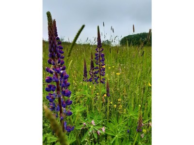 Apartment 4-Bett Fehaus, Schlafsofa,  2 Bäder, 2 Schlafräume - Outdoor photo 27