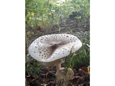 Apartment 4-Bett Fehaus, Schlafsofa,  2 Bäder, 2 Schlafräume - Outdoor photo 31