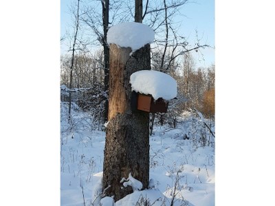 Apartment 4-Bett Fehaus, Schlafsofa,  2 Bäder, 2 Schlafräume - Outdoor photo 36