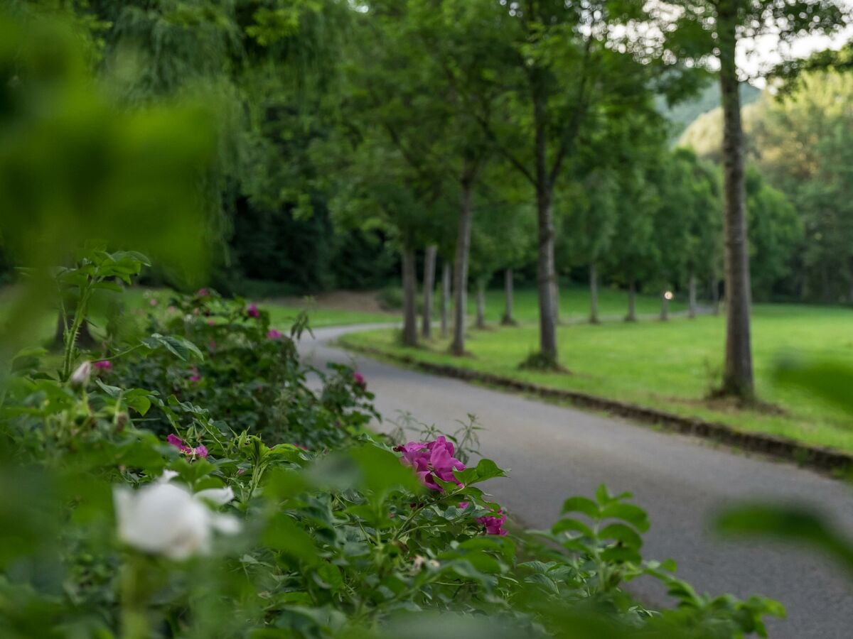 Apartment Ferienhaus, Dusche und Bad, WC, 3 Schlafräume
