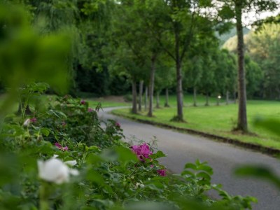 Apartment Ferienhaus, Dusche und Bad, WC, 3 Schlafräume in Roßbach/Wied - Apartment