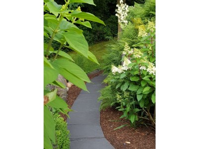 Apartment Appartement/Fewo, Dusche, WC, waldseitig - Outdoor photo 17