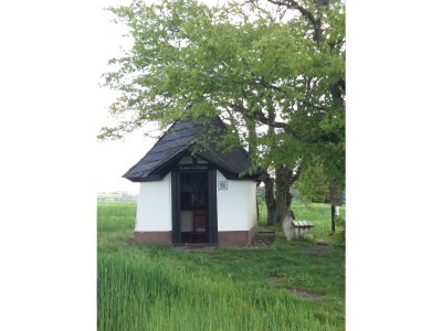 Apartment Appartement/Fewo, Dusche, WC, waldseitig - Outdoor photo 19