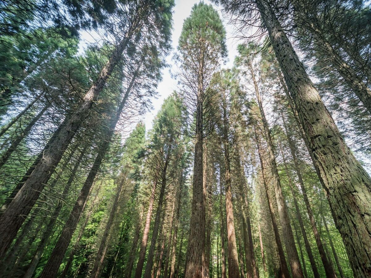 Apartment Ferienhaus zum Talblick - Outdoor photo 4