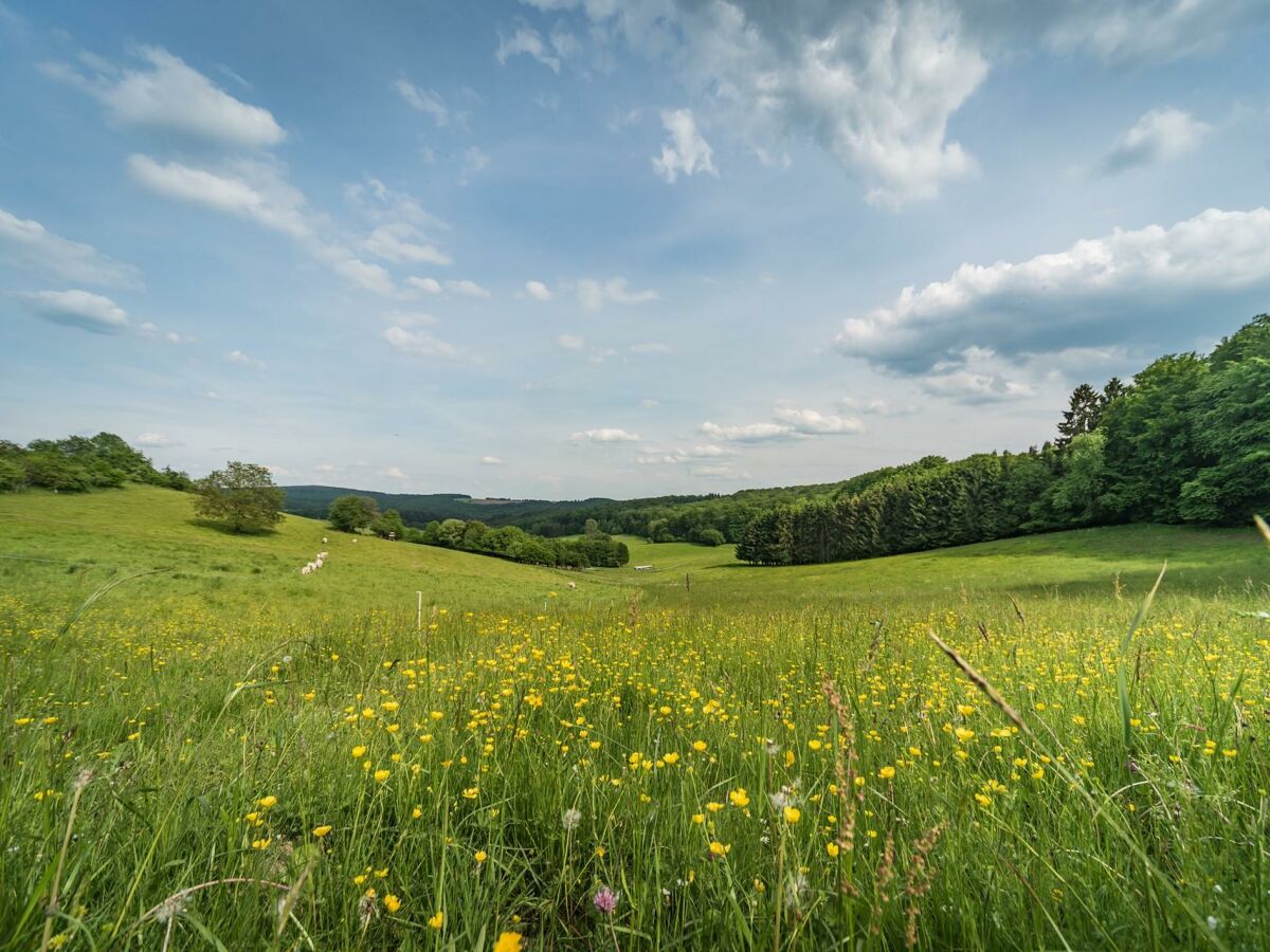 Apartment Ferienhaus zum Talblick - Outdoor photo 5