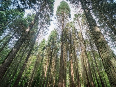 Apartment Ferienhaus zum Talblick - Outdoor photo 4