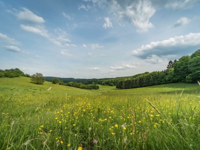Apartment Ferienhaus zum Talblick - Outdoor photo 5