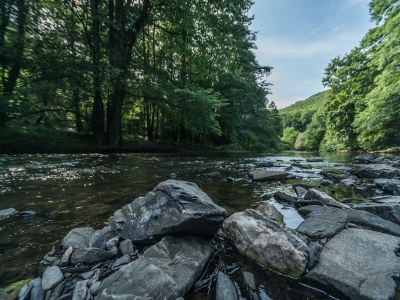 Apartment Ferienhaus zum Talblick - Outdoor photo 10