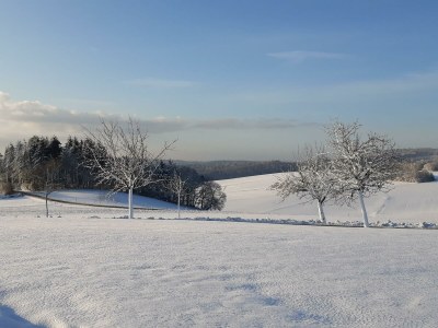 Apartment Ferienhaus zum Talblick - Outdoor photo 15
