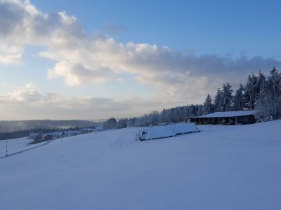 Apartment Ferienhaus zum Talblick - Outdoor photo 17