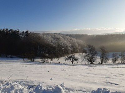 Apartment Ferienhaus zum Talblick - Outdoor photo 18