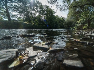 Apartment Appartement/Fewo, Badewanne, 2 Schlafräume - Outdoor photo 10