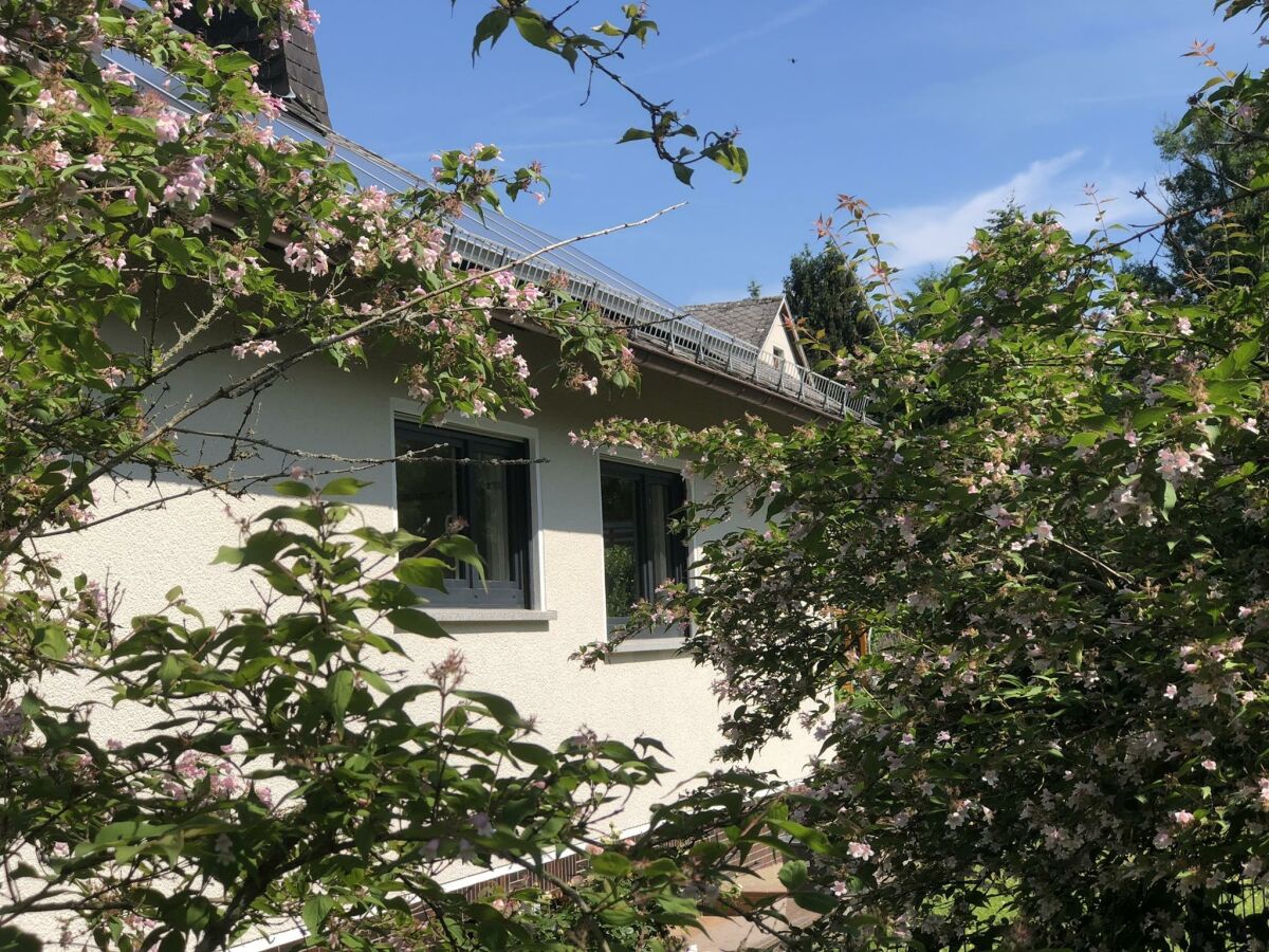 Apartment 2-3 Zimmer Wohnung - Outdoor photo 4