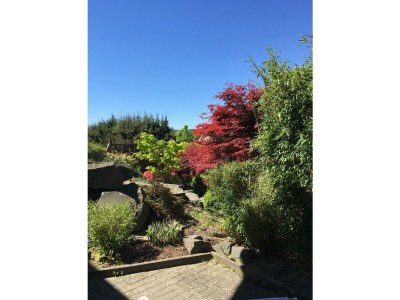 Apartment 2-Bett-Wohnung - Outdoor photo 5