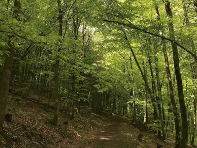 Apartment 2-Bett-Wohnung - Outdoor photo 7