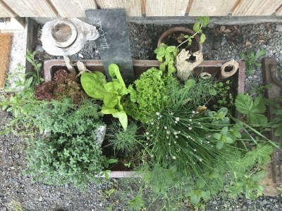 Apartment 2-Bett-Wohnung - Outdoor photo 14