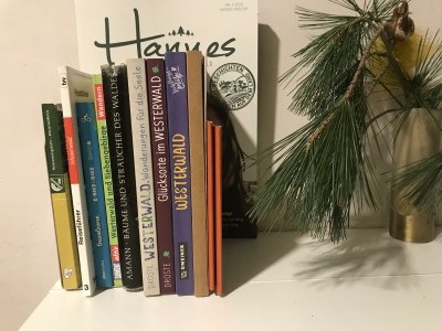 Apartment 2-Bett-Wohnung - Features photo 24