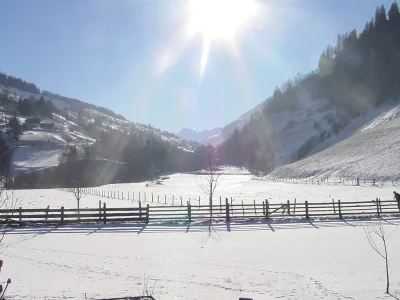 Holiday apartment Goldberg im Gästehaus Luggau - Environment photo 22