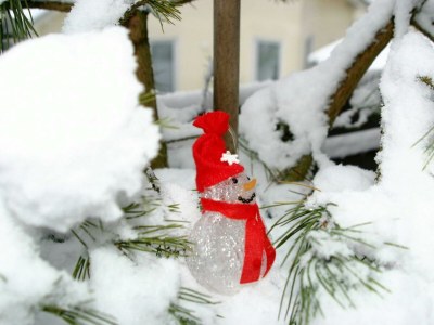 Apartment 2-Bettwohnung - Outdoor photo 10