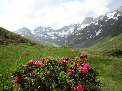 Residence Ried - Environment photo 26