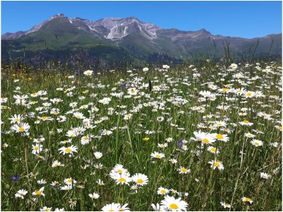 Residence Ried - Environment photo 27