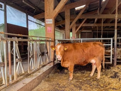 Apartment Land & Leben Hof-Hagdorn WG 2 - Outdoor photo 13