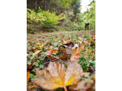 Apartment Barrierefreie Ferienwohnung - Outdoor photo 11