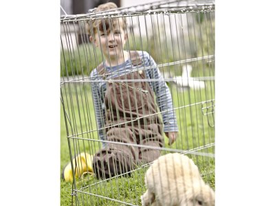 Apartment Barrierefreie Ferienwohnung - Outdoor photo 25