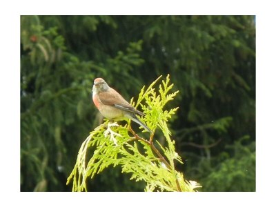 Apartment 4-Bettwohnung - Outdoor photo 13